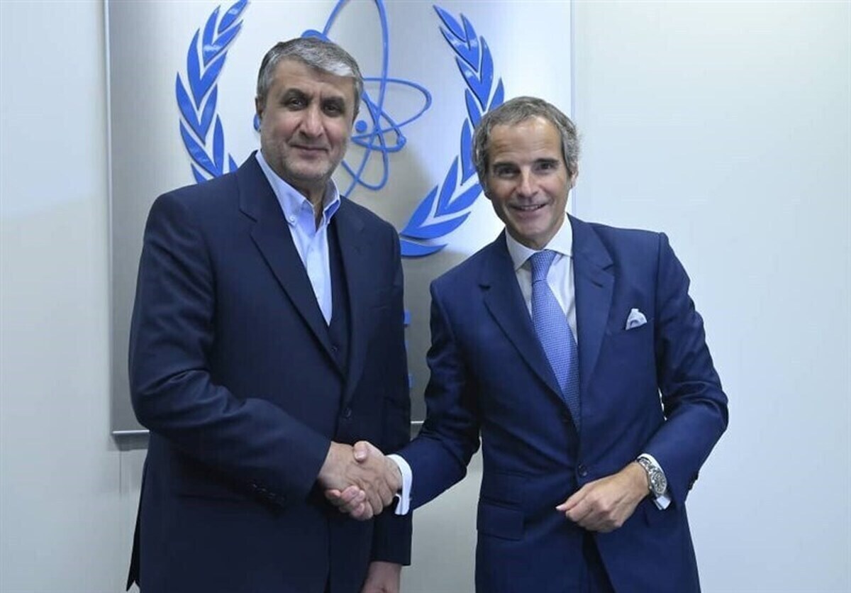 گروسی با رییس سازمان انرژی اتمی دیدار کرد