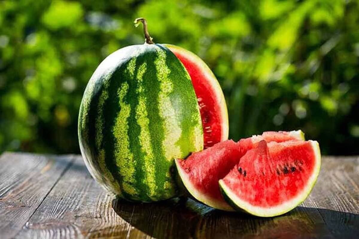 ببینید؛ رودخانهٔ هندوانه در بوشهر!