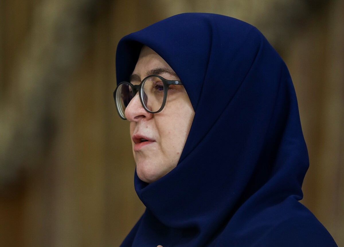مهاجرانی: نگاه دولت در زیست فرهنگی، احترام به شادی‌ جمعی است