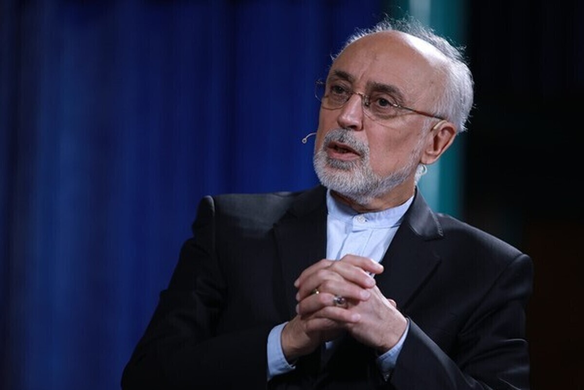 علی اکبر صالحی: سعدی نماینده خرد و سخن ایران است