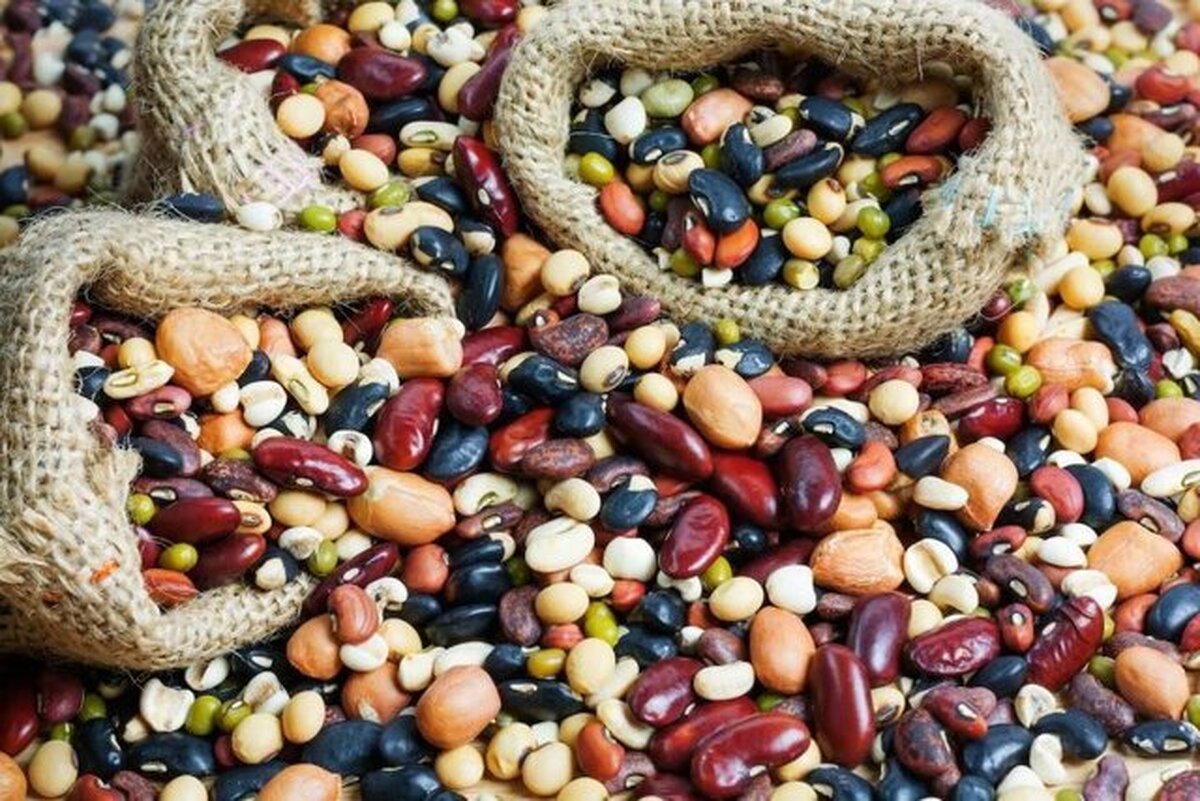 کاهش چشمگیر قیمت حبوبات در راه است