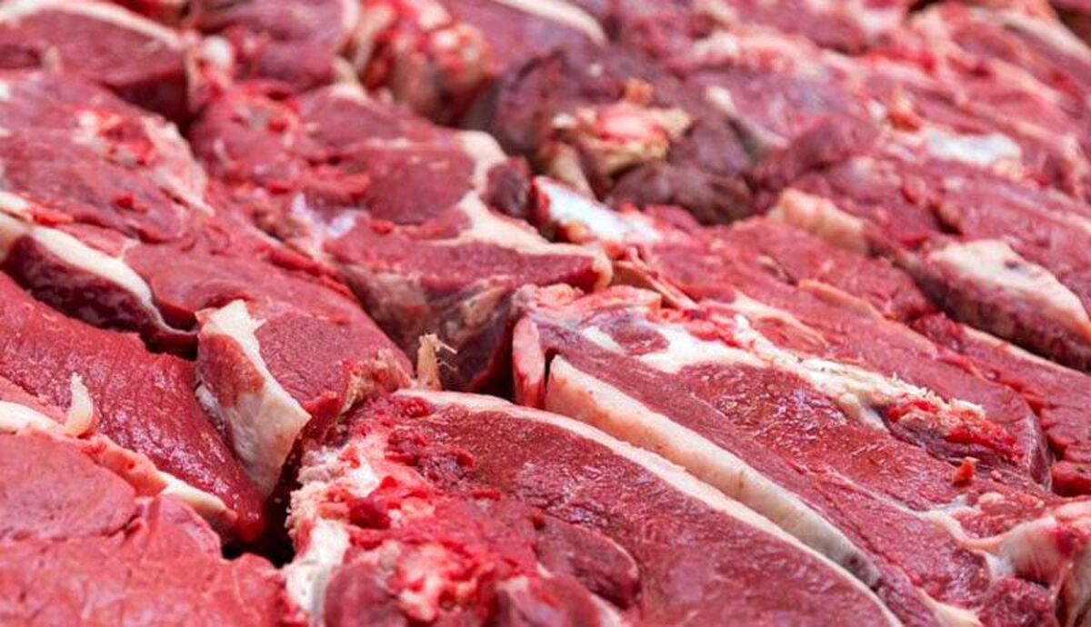 قیمت گوشت قرمز امروز ۴ اردیبهشت ۱۴۰۴ / گوشت گوسفندی و گوساله کیلویی چند؟ + جدول