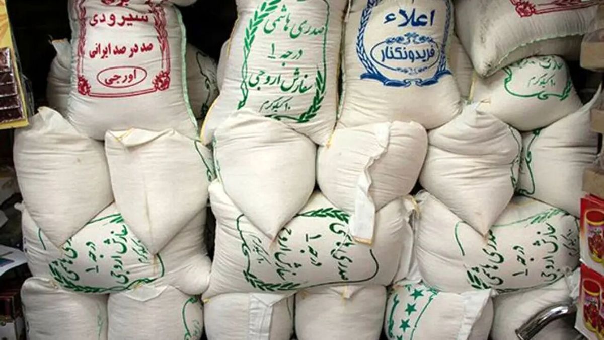 قیمت برنج ایرانی گران شد / قیمت برنج هاشمی، طارم، سرلاشه و هندی در اردیبهشت ۱۴۰۴