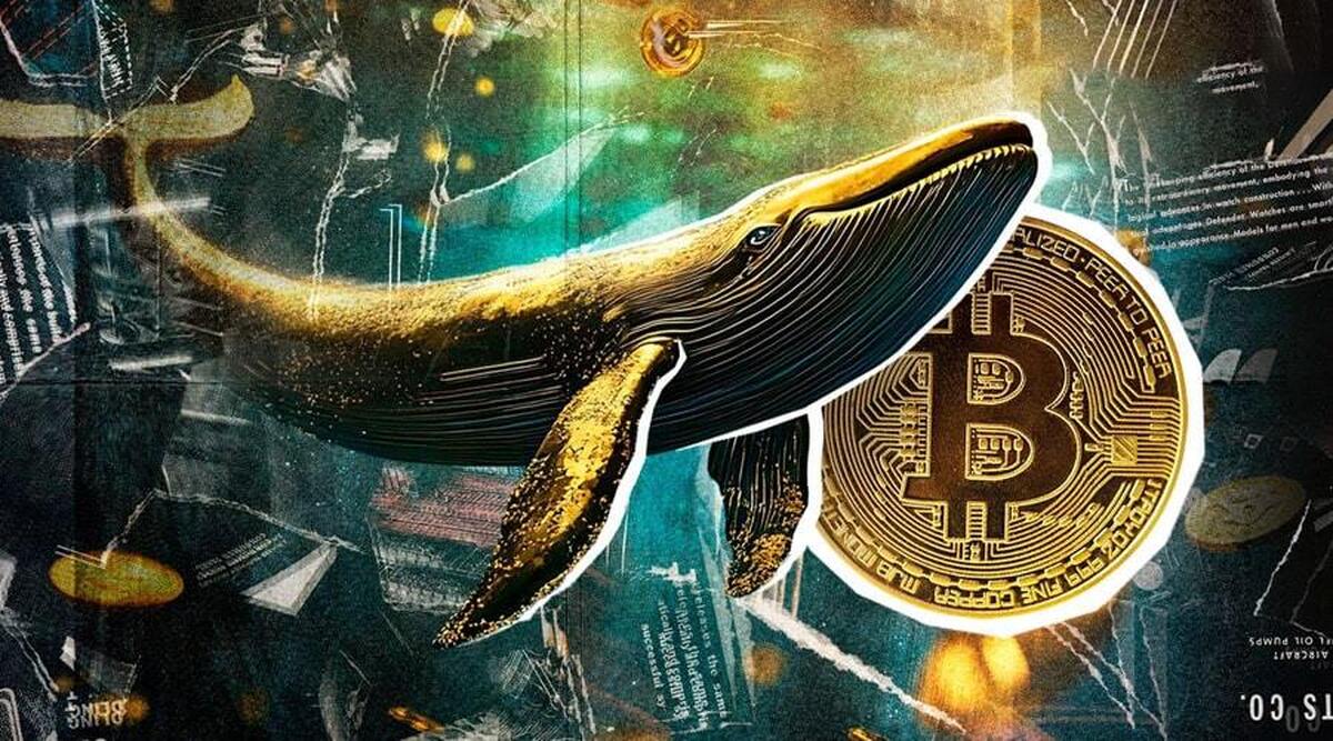 انباشت ۱۱۰ میلیون دلار بیت‌کوین و اتریوم/ سیگنال صعودی نهنگ بزرگ برای بازار!