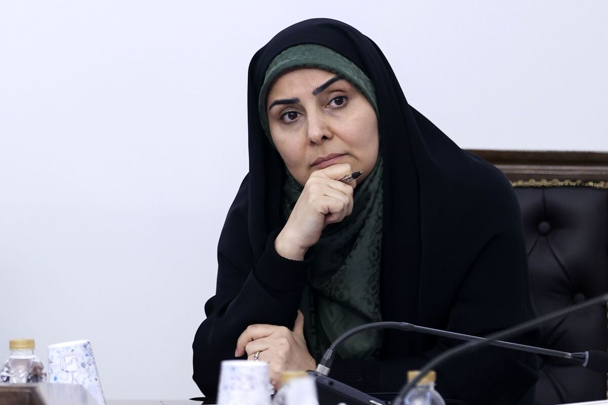 گناه همه سازمان‌ها و وزارتخانه‌ها را گردن فرزانه صادق انداخته‌اند