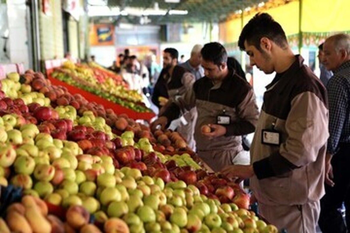 قیمت جدید انواع میوه در میادین میوه و تره بار