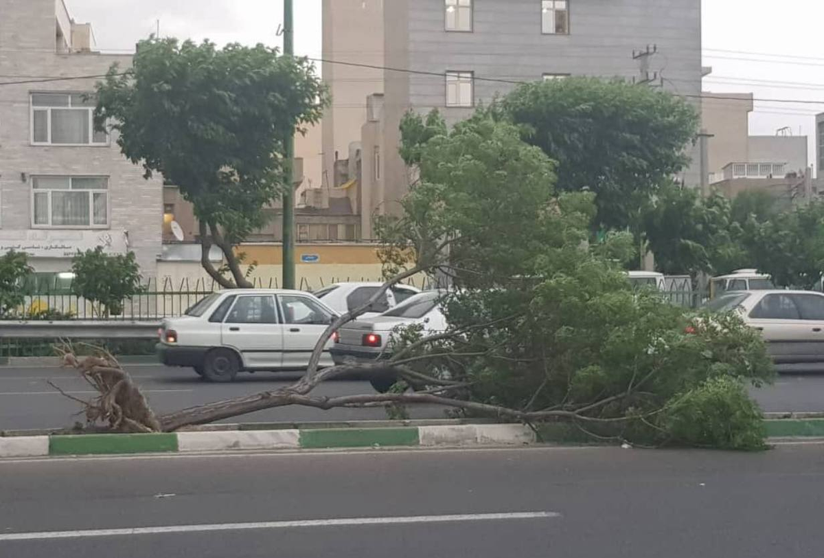 آماده‌باش اورژانس برای طوفان شبانه پایتخت