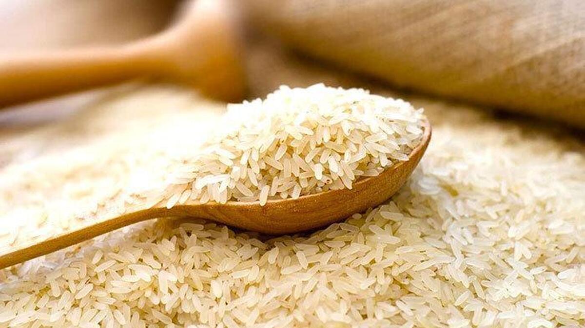 قیمت برنج پاکستانی امروز ۲۲ اردیبهشت ۱۴۰۴/ گران‌ترین و ارزان‌ترین برنج پاکستانیکدامند؟