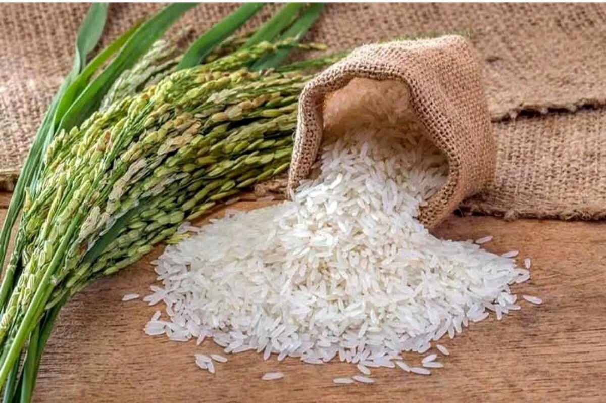 قیمت برنج پاکستانی امروز ۲۹ اردیبهشت ۱۴۰۴/ گران‌ترین و ارزان‌ترین برنج پاکستانیکدامند؟ + جدول
