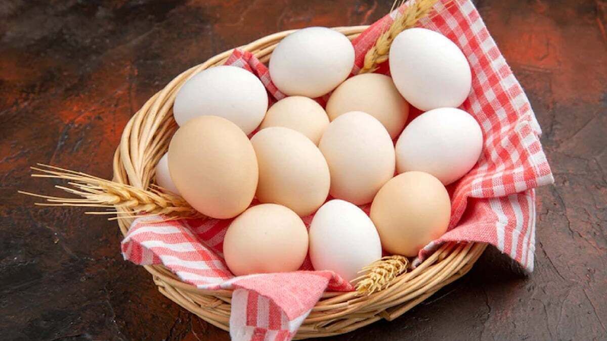قیمت تخم‌مرغ امروز ۳۰ اردیبهشت ۱۴۰۴/ قیمت تخم‌مرغ گرید B چند شد؟ + جدول