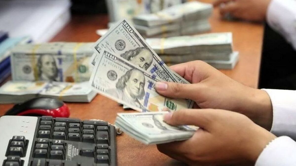 کاهش ۳ هزار تومانی قیمت دلار معامله گران را غافلگیر کرد / ریزش شدید قیمت دلارامروز ۱۸ مرداد ۱۴۰۴