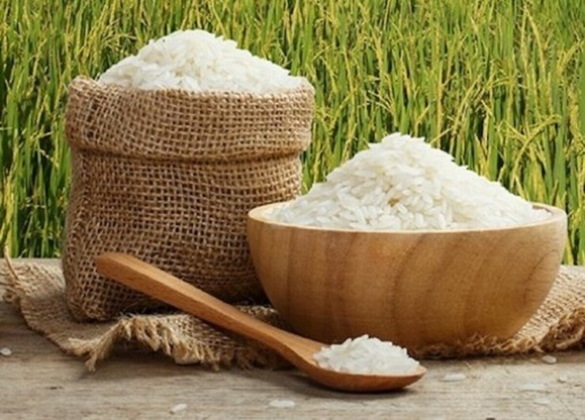 قیمت برنج ایرانی ۲۷ مرداد ۱۴۰۴ / هرکیلو برنج هاشمی در آستانه ۳۰۰ هزارتومانی شدن!+ جدول