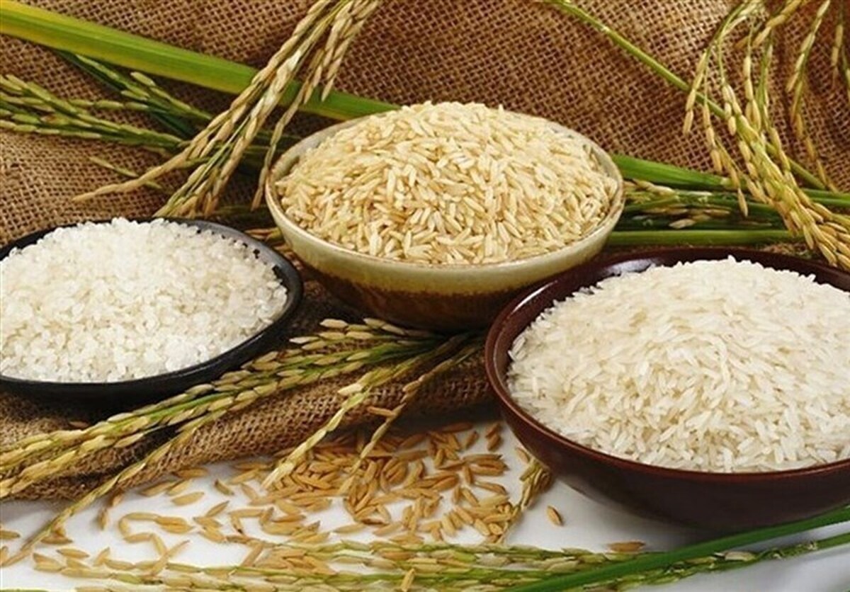 قیمت برنج پاکستانی شهریور ۱۴۰۴ / برنج پاکستانی درجه یک کیلویی چند؟ + جدول
